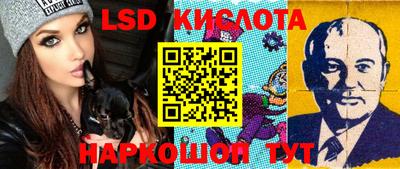 крисы Долгопрудный