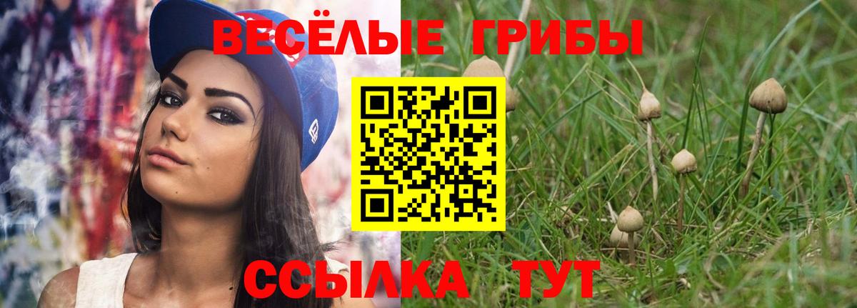 даркнет сайт  Галлюциногенные грибы Cubensis  Вход с VPN  Псилоцибиновые грибы Psilocybine cubensis  Острогожск 