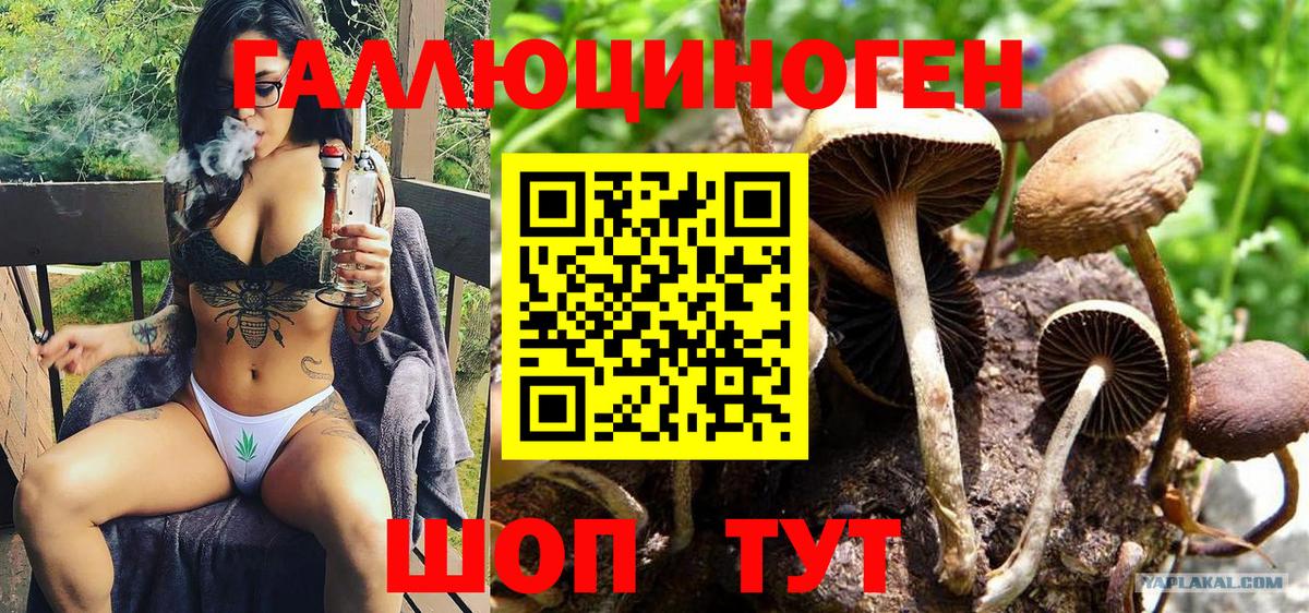 Псилоцибиновые грибы GOLDEN TEACHER Острогожск